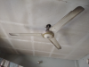 Siling fan big size kasmir full fresh